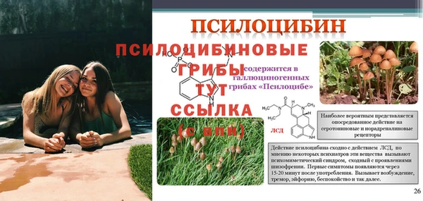 спайс Алексеевка
